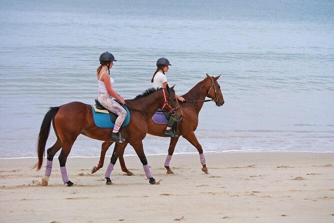 Phuket Beach and Horse Rides 1 Hour Experience - Walking and trotting with a guide