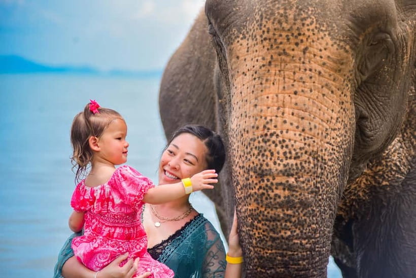 Phuket:Beach walk with elephants, rain & care. 2.5 hours - A Phuket Elephant Experience Built Around the Sea