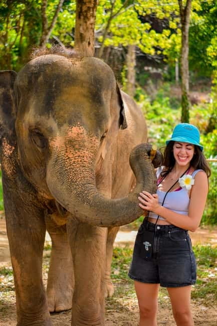 Phuket:Beach walk with elephants, rain & care. 2.5 hours - FAQ