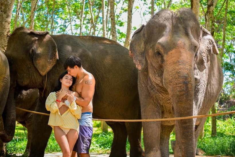 Phuket:Beach walk with elephants, rain & care. 2.5 hours - What Happens From Arrival to the Herb Balls