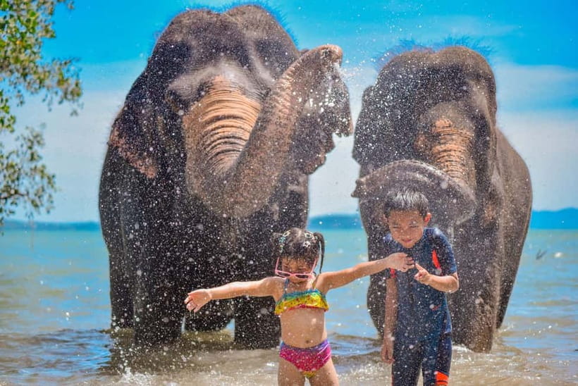 Phuket:Beach walk with elephants, rain & care. 2.5 hours - Elephant Welfare and the Limits of the Word Sanctuary