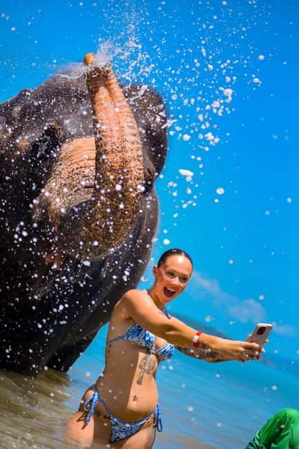 Phuket:Beach walk with elephants, rain & care. 2.5 hours - Is $59 Good Value?