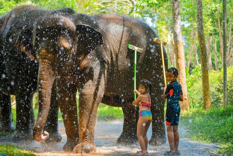Phuket:Beach walk with elephants, rain & care. 2.5 hours - Who Should Book This Experience?
