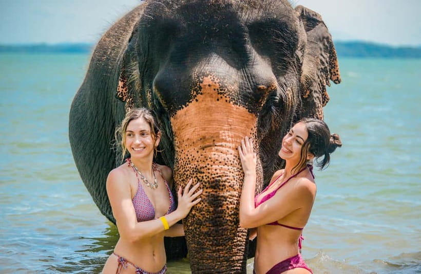 Phuket:Beach walk with elephants, rain & care. 2.5 hours - The Private Beach Is the Main Event