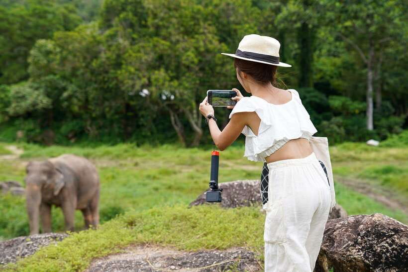Phuket: Bukit Elephant Park Sanctuary Walk and Feed Tour - Photos, shade, rain, and what to wear