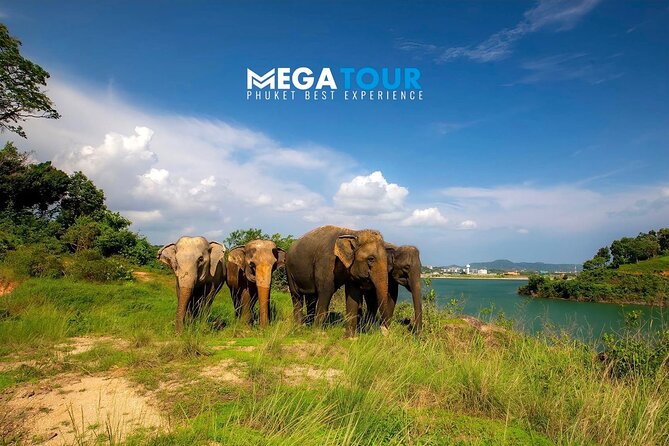 Phuket City Tour & Elephant Sanctuary – Town, Temple, Food & View - Starting with A-Pong at Apong Konyo Samkong