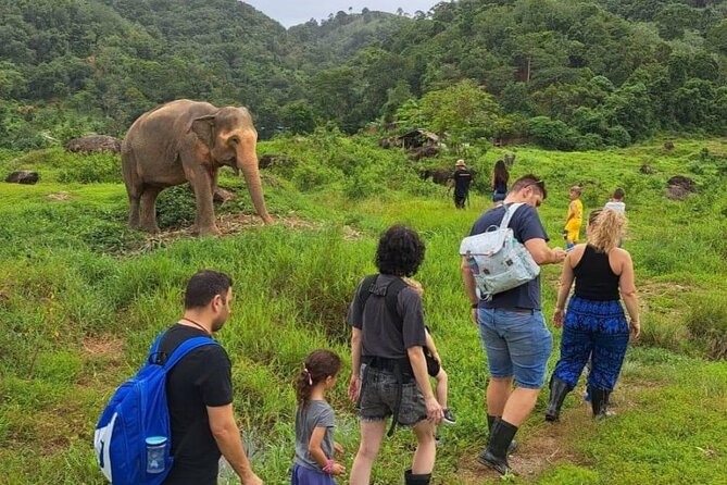 Phuket City Tour & Elephant Sanctuary – Town, Temple, Food & View - Lunch at Mee Ton Poe Restaurant 2
