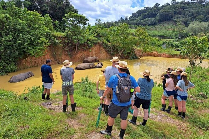 Phuket City Tour & Elephant Sanctuary – Town, Temple, Food & View - Wat Chalong and small acts of temple etiquette
