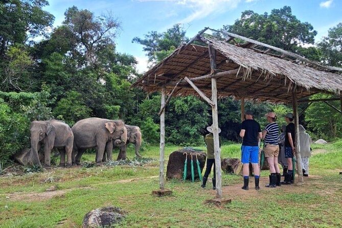 Phuket City Tour & Elephant Sanctuary – Town, Temple, Food & View - Big Buddha, with a changing view