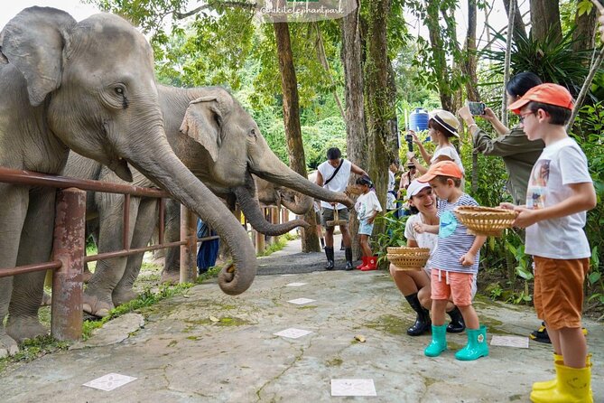 Phuket City Tour & Elephant Sanctuary – Town, Temple, Food & View - Walking the painted streets of Old Phuket Town