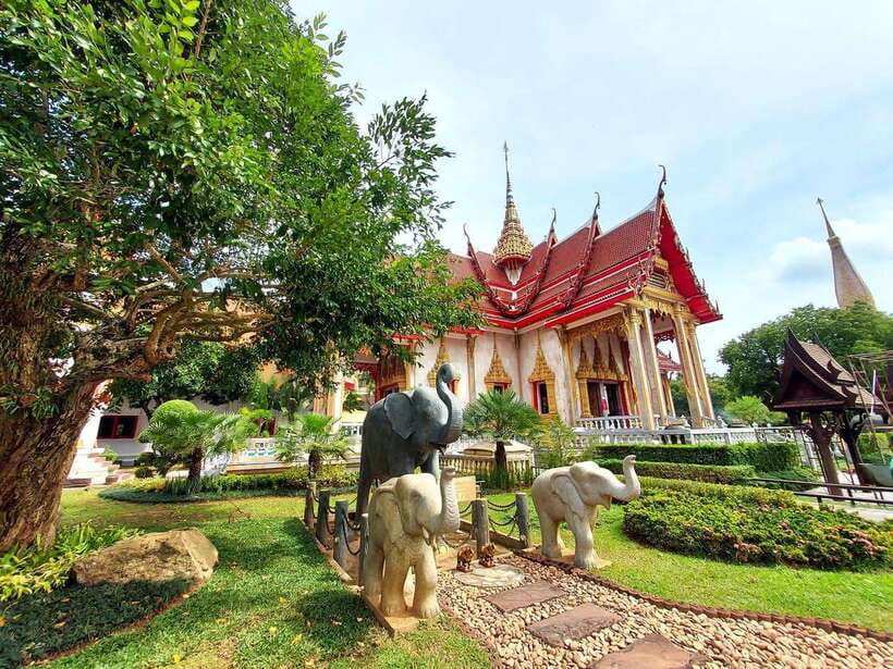 Phuket City Tour with Viewpoints, Temples & Elephant Feeding - The cashew factory: useful stop or shopping pause?