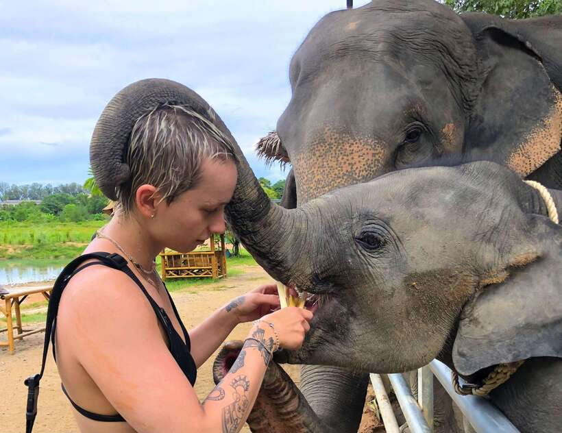 Phuket City Tour with Viewpoints, Temples & Elephant Feeding - Khao Rang Hill and the monkey sightings