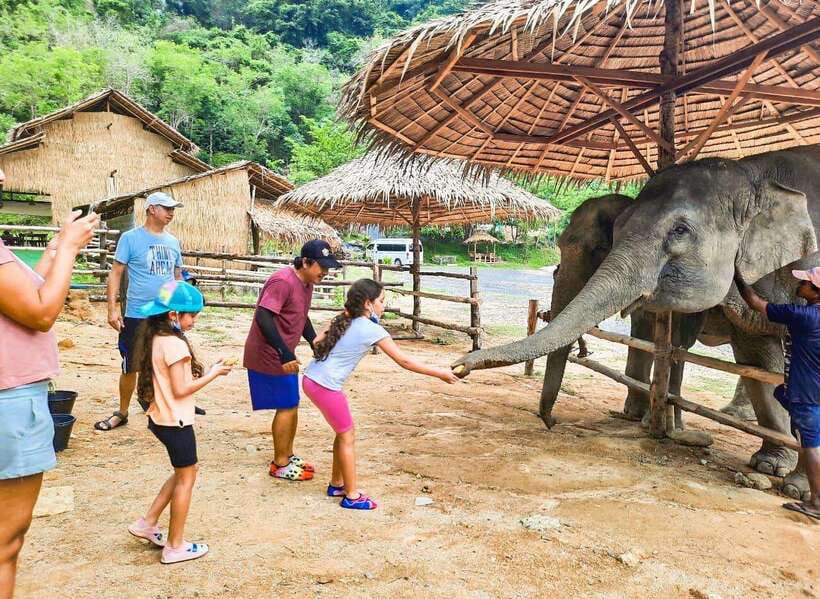 Phuket City Tour with Viewpoints, Temples & Elephant Feeding - Karon Viewpoint and Windmill Viewpoint