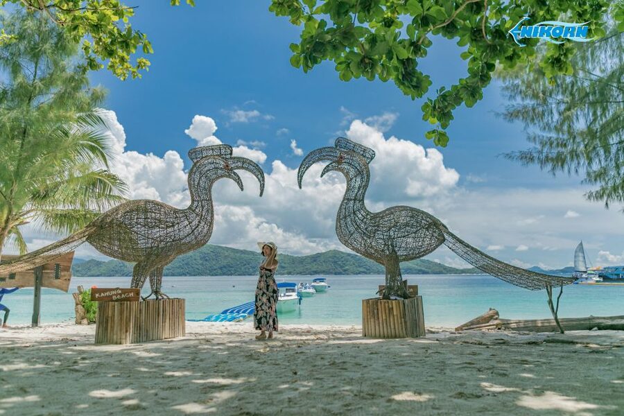 Phuket: Coral Island Day Tour by Speedboat - Practical Details Before You Reserve