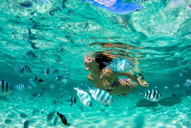 Phuket Coral Island Private Snorkeling Adventure All Inclusive - Key points to know before you book
