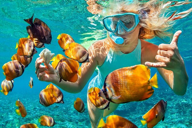 Phuket Coral Island Private Snorkeling Adventure All Inclusive - Lunch at midday, with the practical details covered