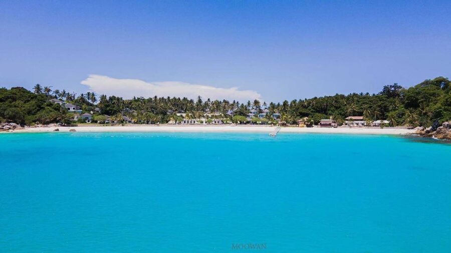 Phuket: Coral & Racha Islands Day Trip By Speedboat - Who should book this island day?