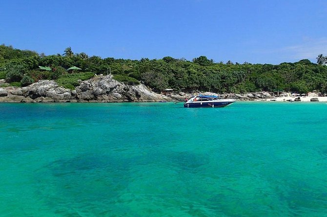 Phuket Dolphin Quest: Racha & Maiton Island Expedition - The Maiton dolphin search