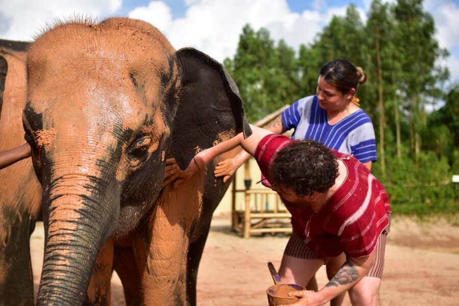 Phuket: Elephant Experience with Lunch or Dinner and Pickup - Walking through the jungle with the elephants