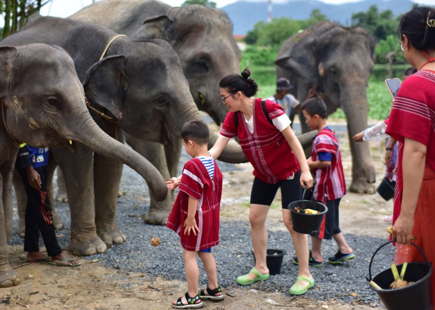 Phuket: Elephant Experience with Lunch or Dinner and Pickup - The mud spa and elephant bath
