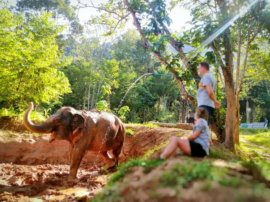 Phuket: Elephant Nature Reserve Entry Ticket and Guided Tour - Meeting your guide next to Hug Me Cafe