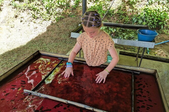 Phuket Elephant Nature Reserve Ethical Sanctuary - Why the hands-off approach matters