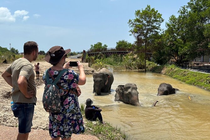 Phuket: Elephant Nature Walk - Guided Tour with Transport - What the price includes at $52.15