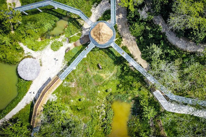Phuket Elephant Sanctuary Canopy Walkway Tour - The elephants and their individual stories