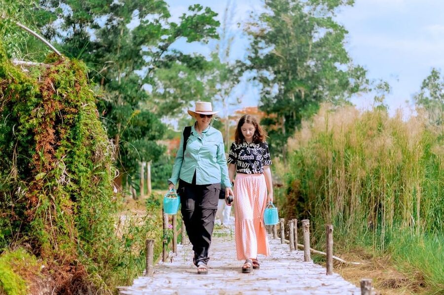 Phuket: Elephant Sanctuary Feed and Bathe Gentle Giants - What the $56 price includes