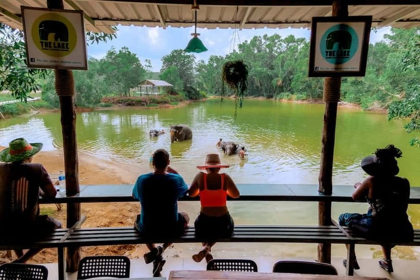 Phuket: Elephant Sanctuary Feed and Bathe Gentle Giants - Booking, cancellation, and what to bring