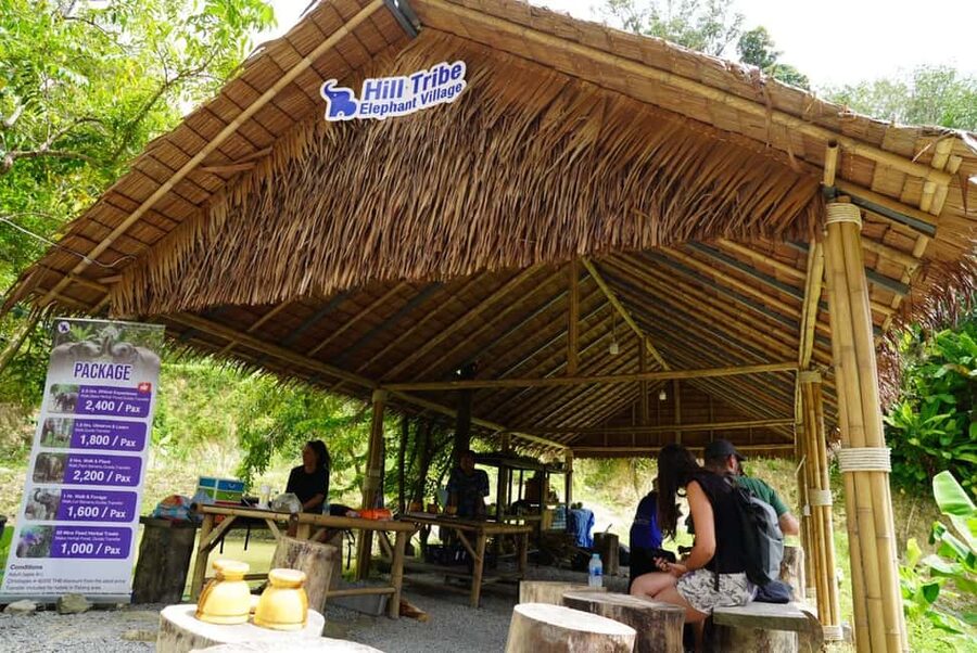 Phuket: Elephant Sanctuary Guided Tour with Hotel Transfers - Walking with elephants in a natural setting