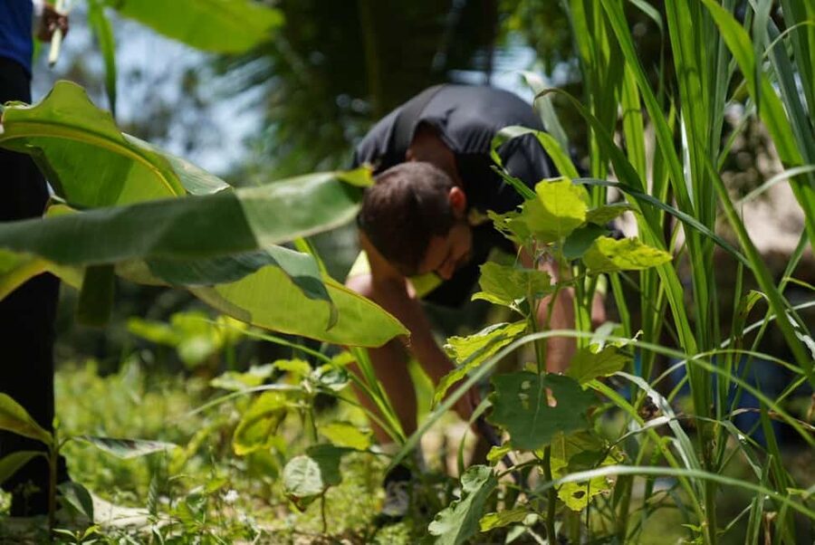 Phuket: Elephant Sanctuary Guided Tour with Hotel Transfers - Why the no-riding policy matters