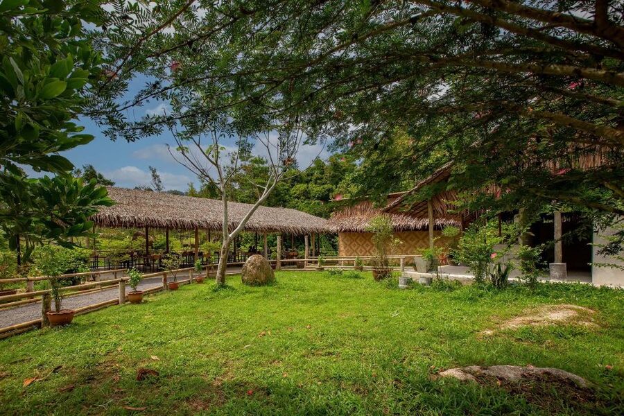 Phuket: Elephant Sanctuary Guided Tour with Hotel Transfers - What the guide adds to the visit