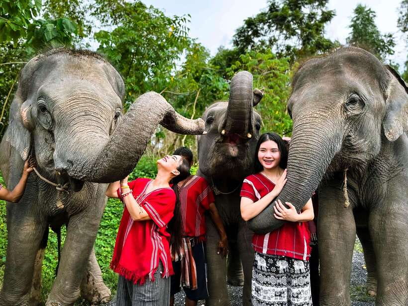 Phuket : Experience feeding and bathing elephants 1.5 Hrs. - A close encounter with baby elephants near Phuket