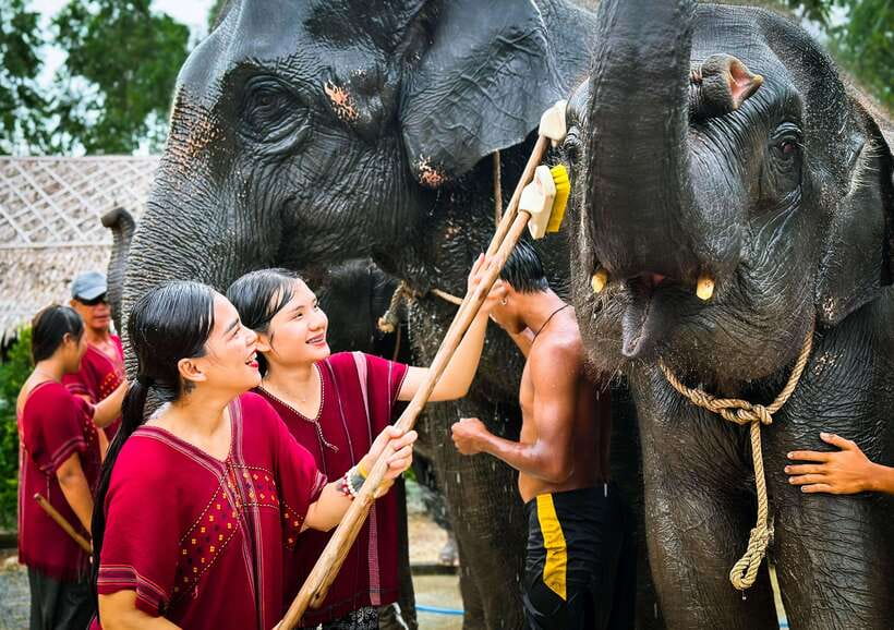 Phuket : Experience feeding and bathing elephants 1.5 Hrs. - Elephant care and ethical questions