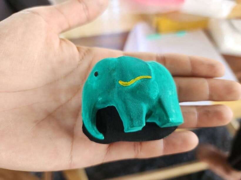 Phuket: Feeding Elephants at Phuket Elephant Care - Key points to know before you go