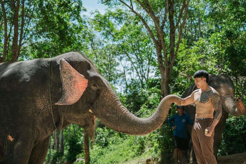 Phuket: Feeding Elephants at Phuket Elephant Care - How the one-hour schedule feels