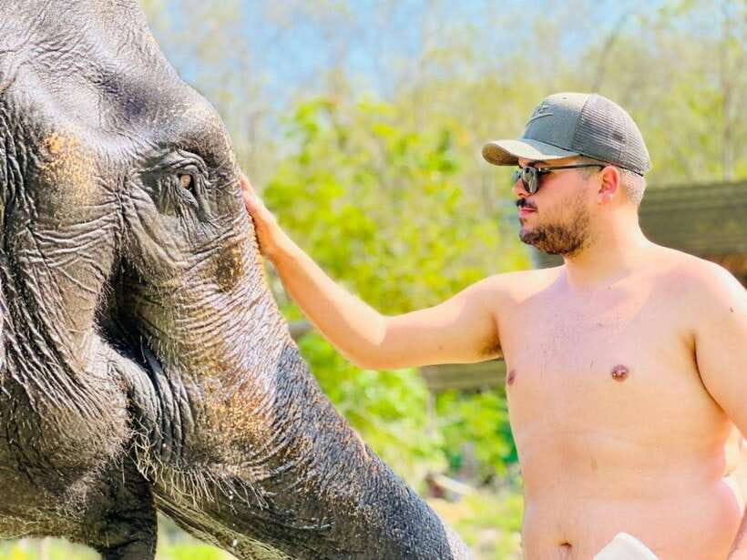 Phuket: Feeding Elephants at Phuket Elephant Care - What the $41 price includes