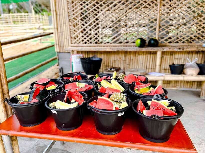 Phuket: Feeding Elephants at Phuket Elephant Care - Practical clothing and packing advice