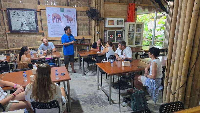 Phuket: Feeding Elephants at Phuket Elephant Care - Arriving at Loch Palm or Naithon