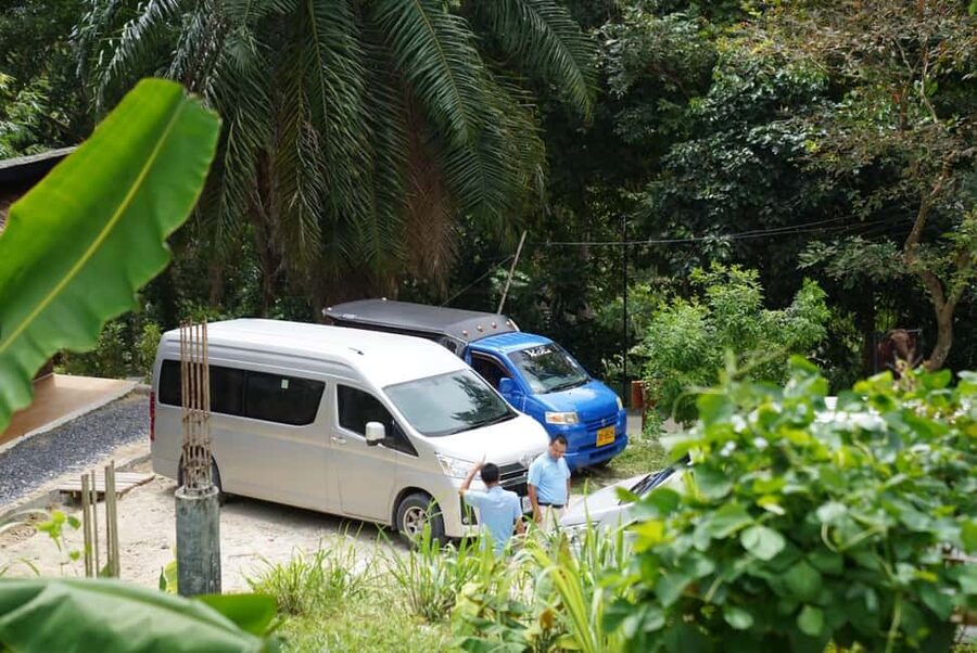 Phuket : Guided Tour to Elephant Sanctuary with Transfers - Meeting five rescued elephants in their forest home