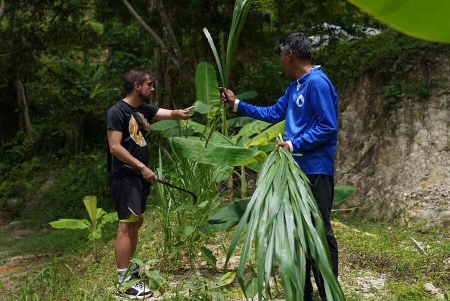 Phuket : Guided Tour to Elephant Sanctuary with Transfers - Cutting banana trees and gathering grass