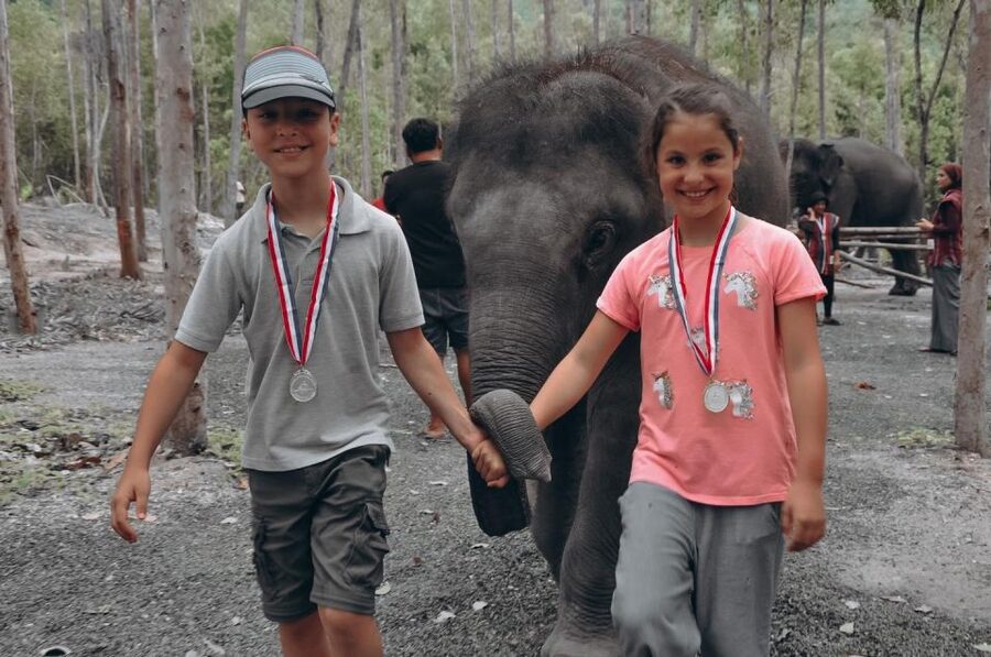 Phuket: Half Day or 2-Hour Ethical Elephant Care Sanctuary - Feeding the elephants and preparing their food