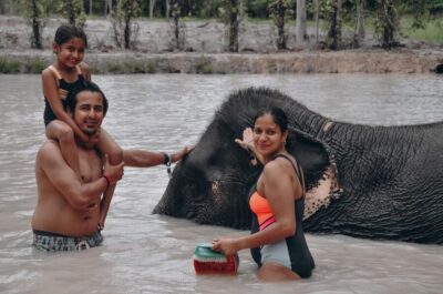 Half Day or 2-Hour Ethical Elephant Care Sanctuary
