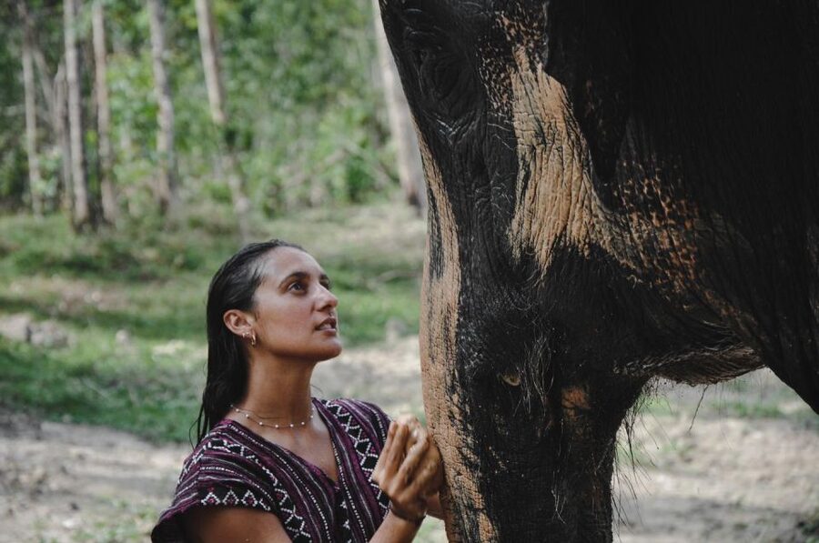 Phuket: Half Day or 2-Hour Ethical Elephant Care Sanctuary - Thai cooking adds local flavor to the visit