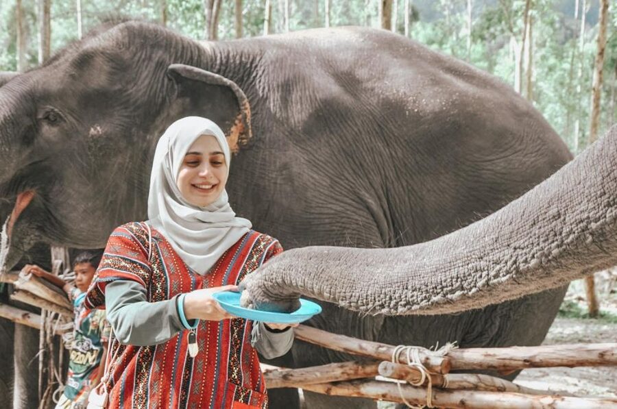 Phuket: Half Day or 2-Hour Ethical Elephant Care Sanctuary - Guides, photos, and the group atmosphere