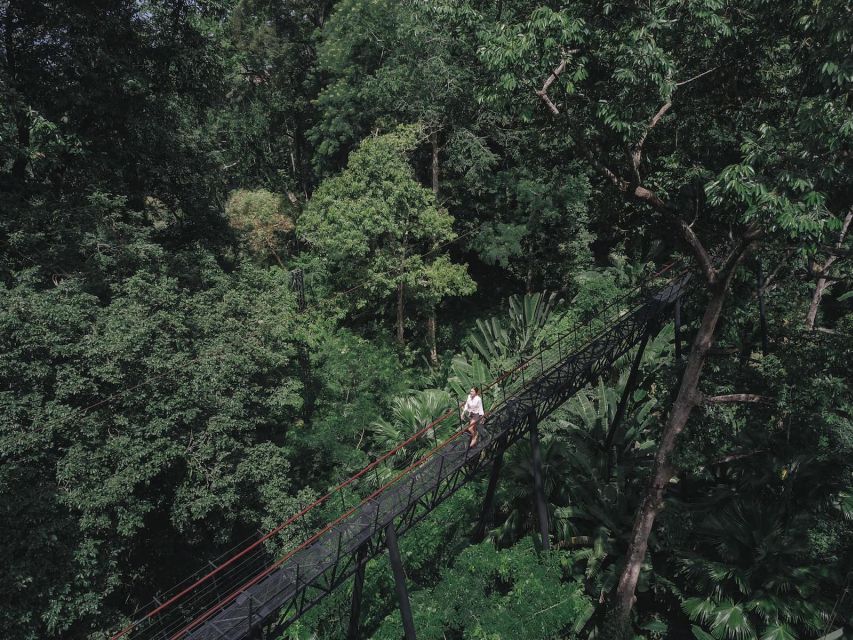 Phuket: Hanuman World Zip Line Adventure - Rappels, sky bridges, and the spiral stairs