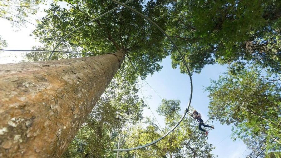 Phuket: Hanuman World Zip Line Adventure - Choosing between a short session and a three-hour package