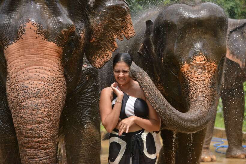 Phuket: Happy Hour Feed and Rain Shower with Elephant - A practical afternoon at Lily Elephant Camp