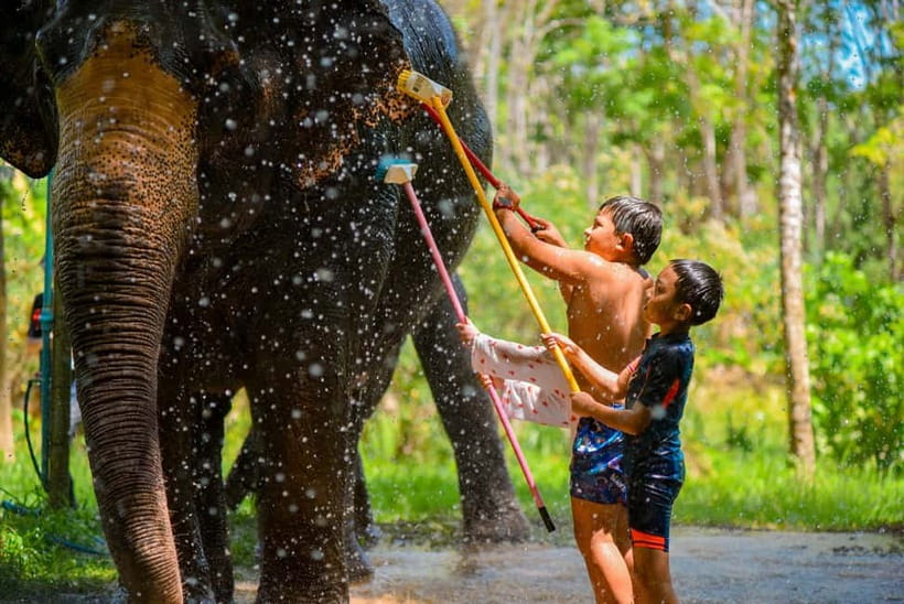 Phuket: Happy Hour Feed and Rain Shower with Elephant - What your $37 includes, and what it does not